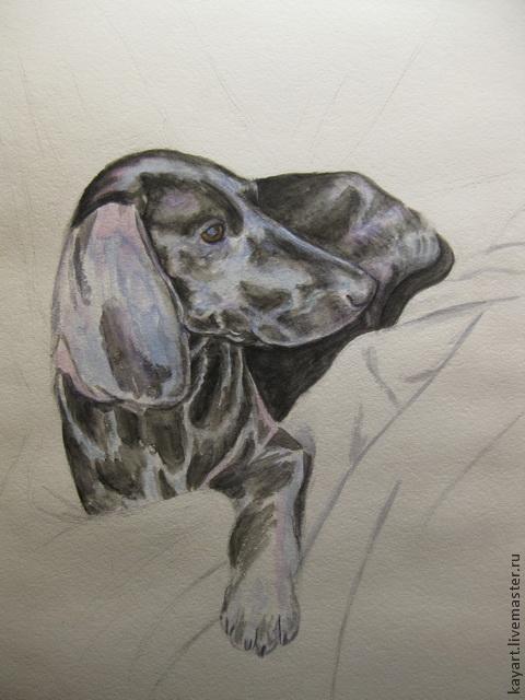 Рисуем черную собаку акварелью, фото № 7