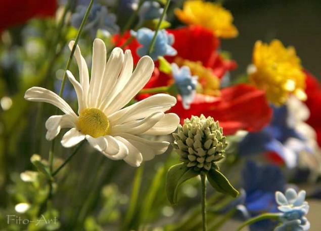 140418131954 140418131954