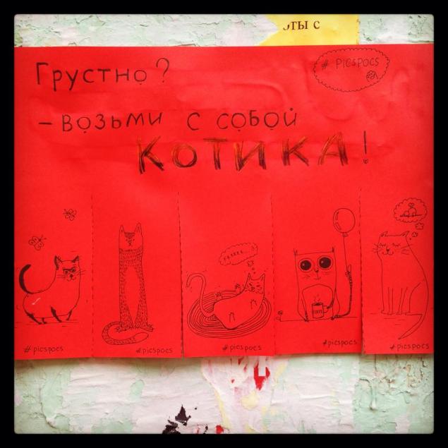 енот енот
