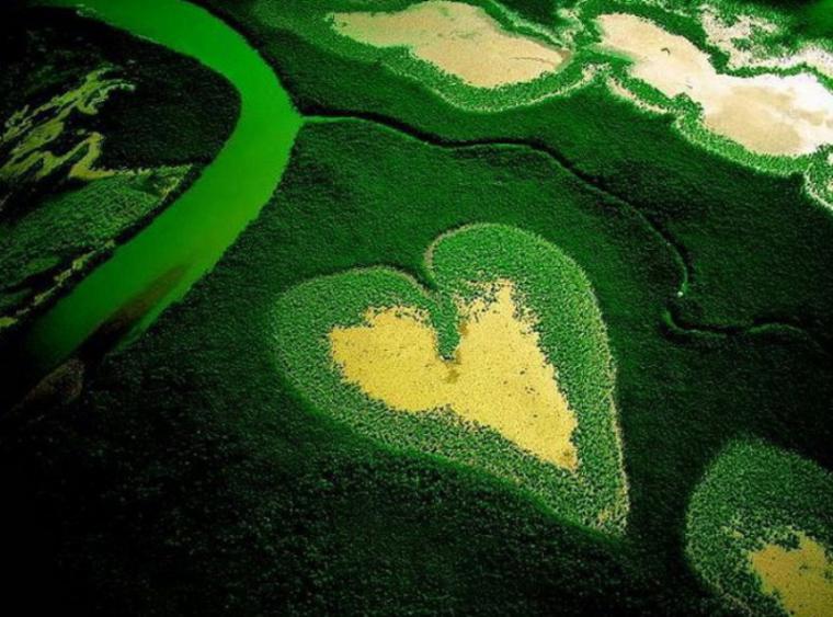 50 красивых сердец, созданных природой. фото № 6