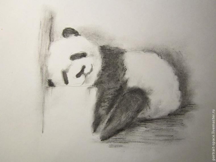 Рисунки по клеточкам «Панда» ☆ 14 рисунков