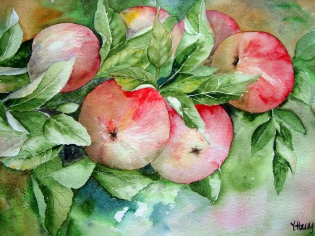   : Yvonne Harry. ,   11