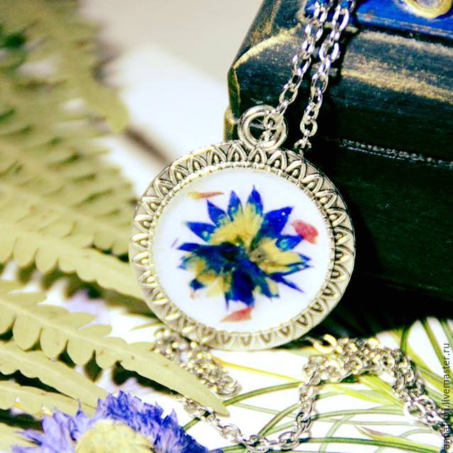 6 způsobů sušení chrpy, foto č. 15