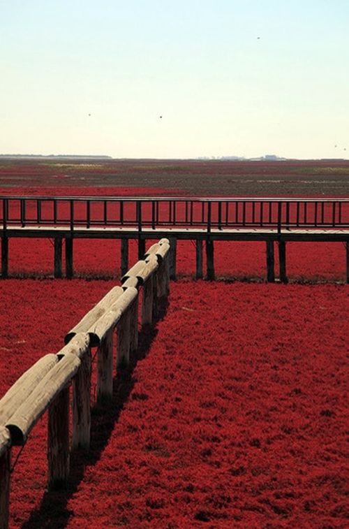 Пляж в китае фото