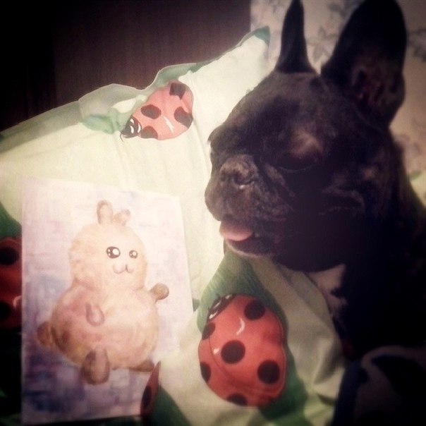 Рисование волшебной кистью rush в программе aint ool , фото № 12