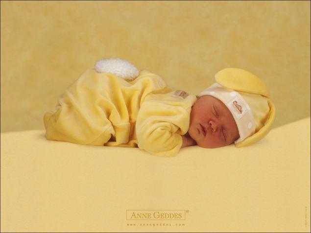 anne geddes net worth - Ilustrasi 3