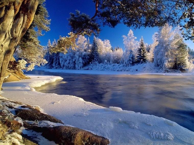 Завораживающие зимние краски. фото № 44