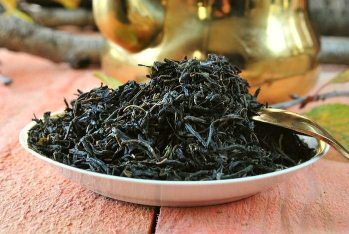 Чай из ивы. Ива чай. Ива чая нисунки. Ив чай. Кипрей лист.