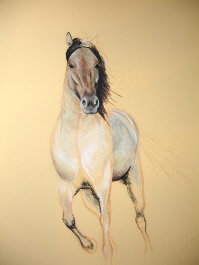 Лошадь цветными карандашами