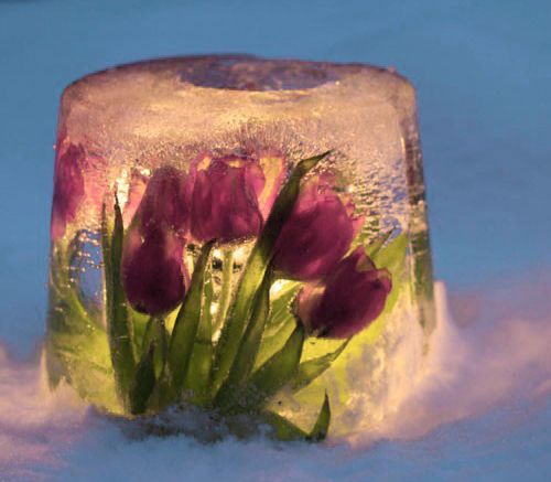 Ледяные подсвечники и яркие красивые ледяные шары, или Украшаем улицу и свой дворик, фото № 15