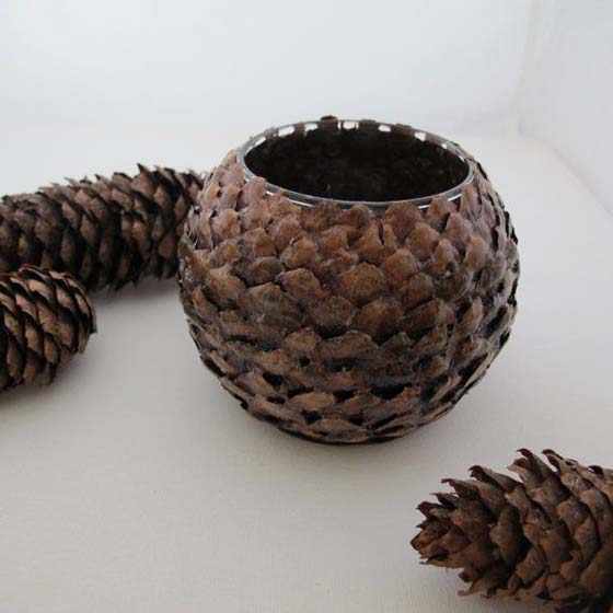 It's Time to Collect Pine Cones: 40 Interesting Ideas for Craft: Ideas & Inspiration в журнале 