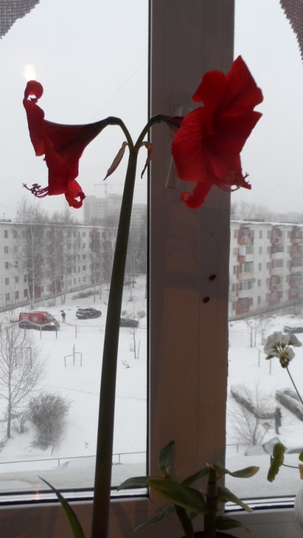 красота красота