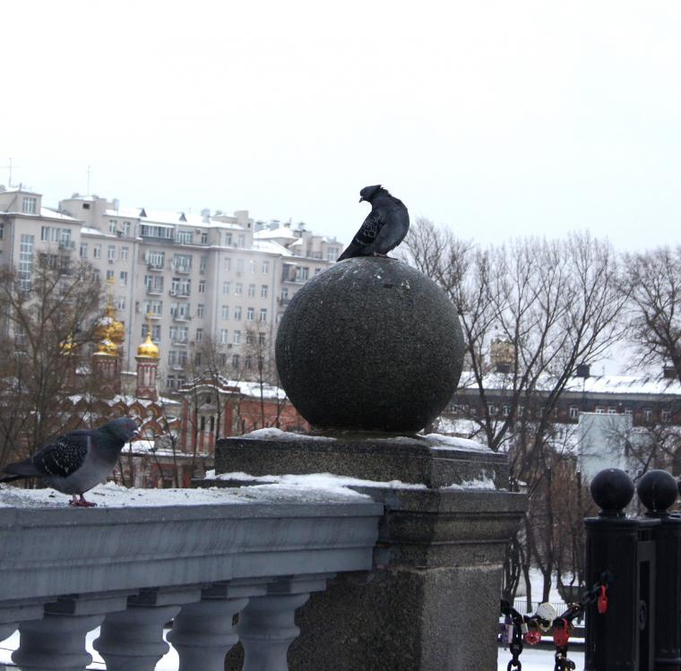 подарок, подарок свекрови, модный аксессуар подарок, подарок свекрови, модный аксессуар