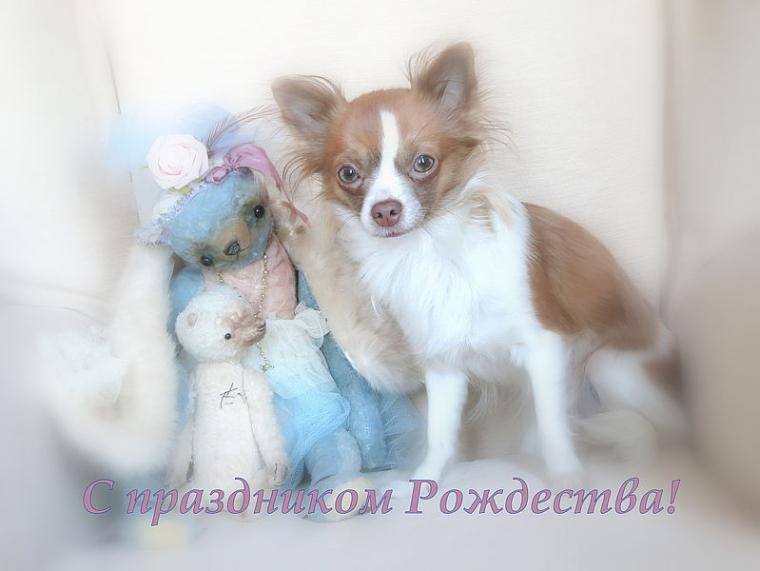 куклы и игрушки куклы и игрушки