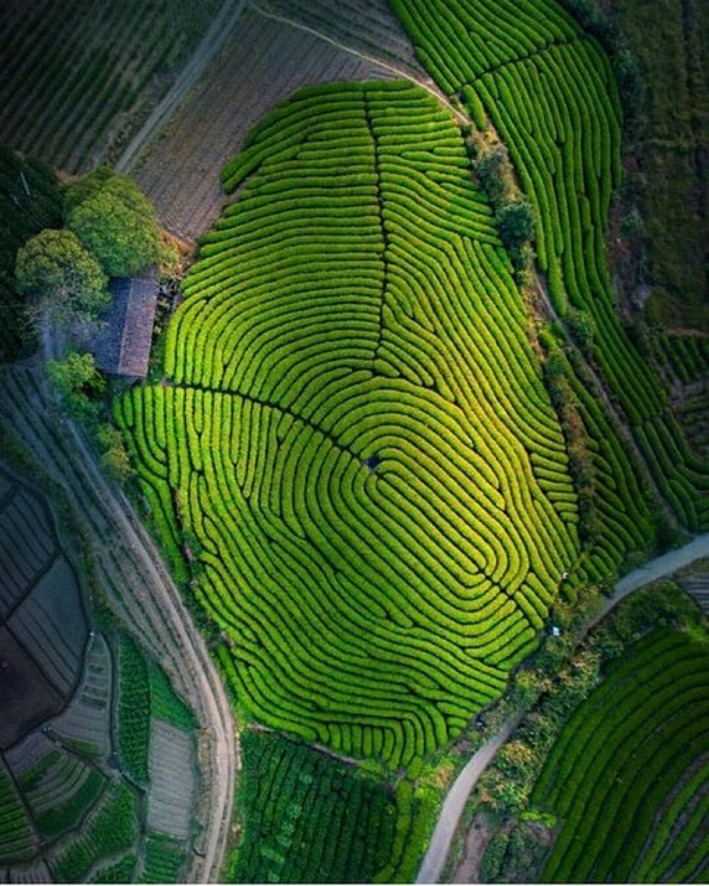 Лучшие фото людей с дрона