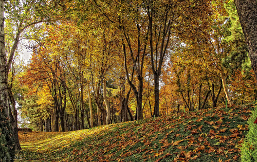 парк парк