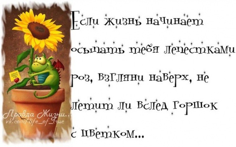 Цитаты о жизни прикольные в картинках, картинки