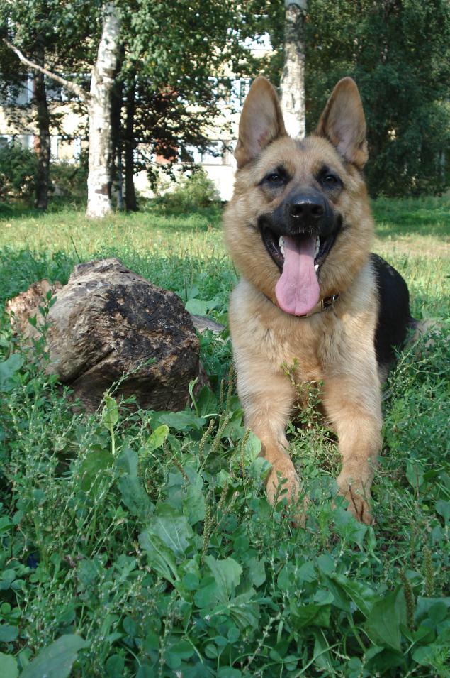 Как я обрабатываю изображения в Фотошопе, фото № 5