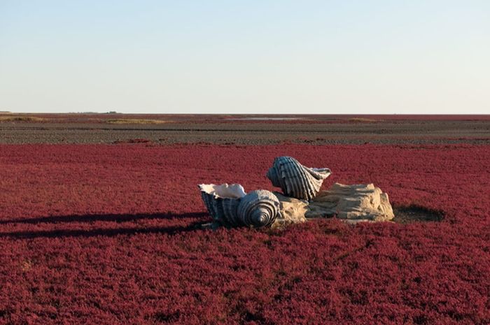 Пляж в китае много народу фото