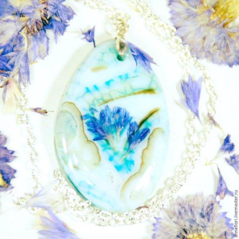 6 způsobů sušení chrpy, foto č. 12