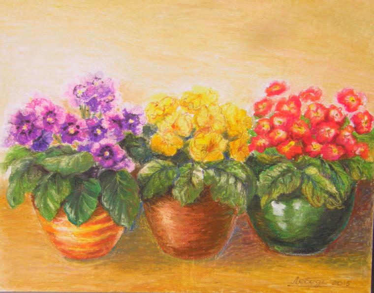 Примула картина маслом