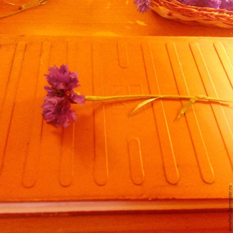 6 způsobů sušení chrpy, foto č. 6